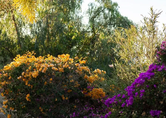 Casa Leon Royal Retreat 4* Maspalomas (Gran Canaria)