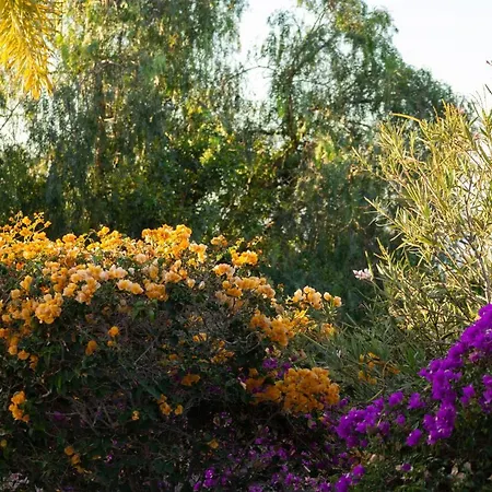 Casa Leon Royal Retreat 4* Maspalomas (Gran Canaria)